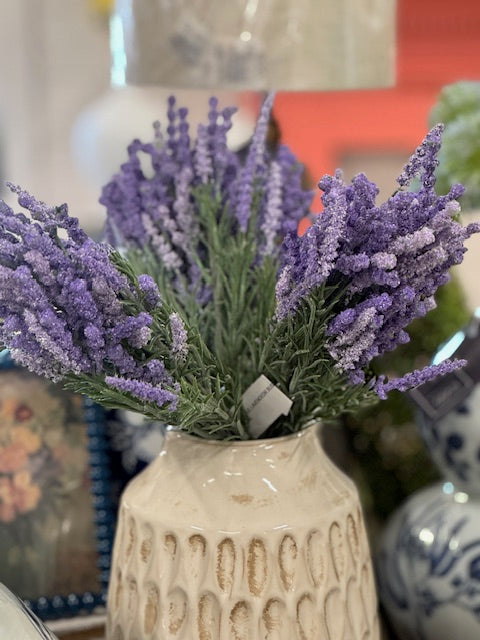 Lavender Bush