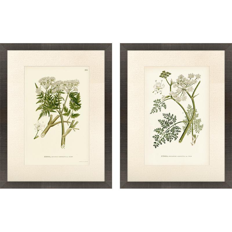 Queen's Lace I