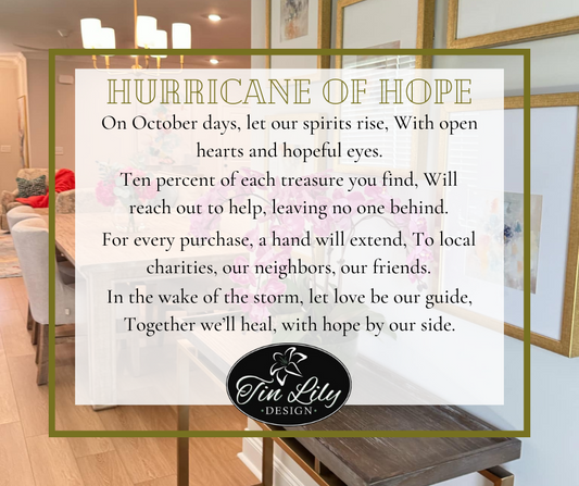 Hurricane Helene aftermath, relief efforts with Camp Rock and Tin Lily Design