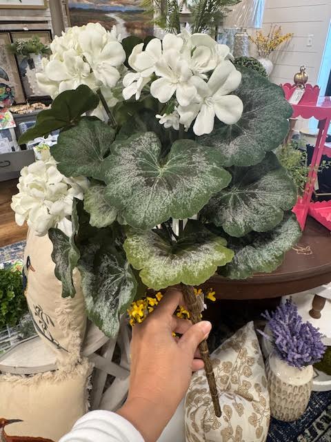 White Geranium Bundle