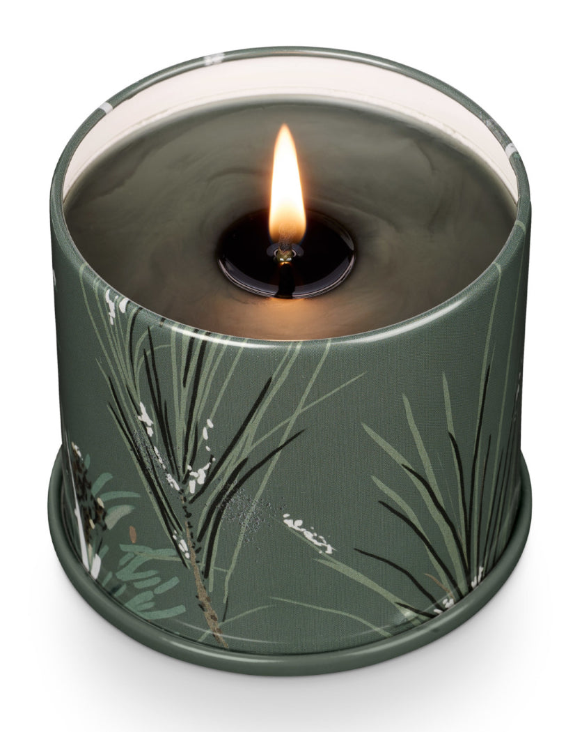 Balsam & Cedar Vanity Tin Candle