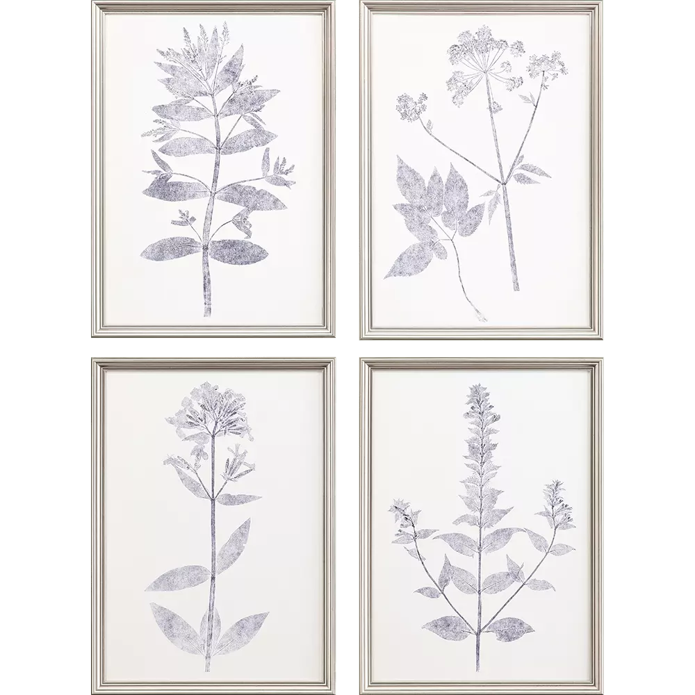 Navy Botanicals