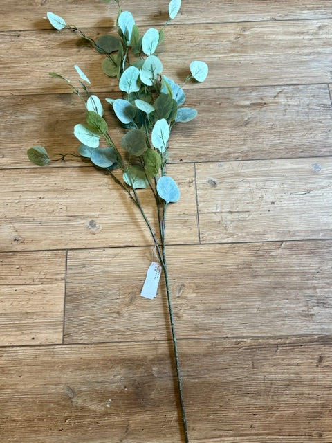 Green Eucalyptus Stem