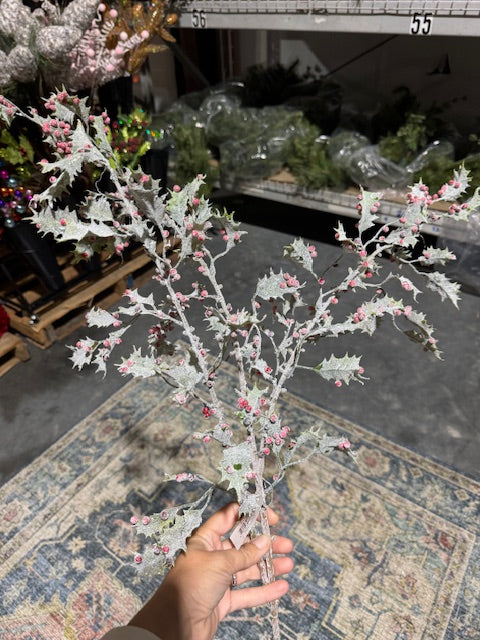 Frosted Holly Stem