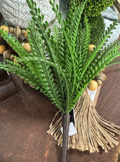 Dark Green Foliage Bush