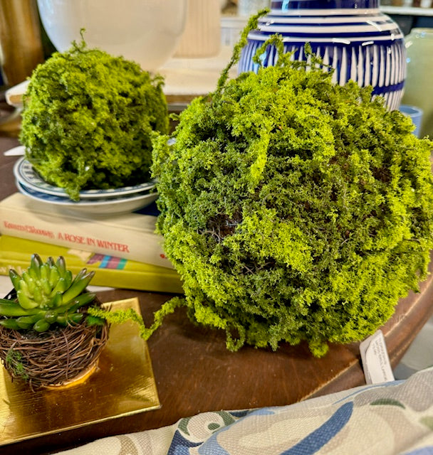 Moss Ball