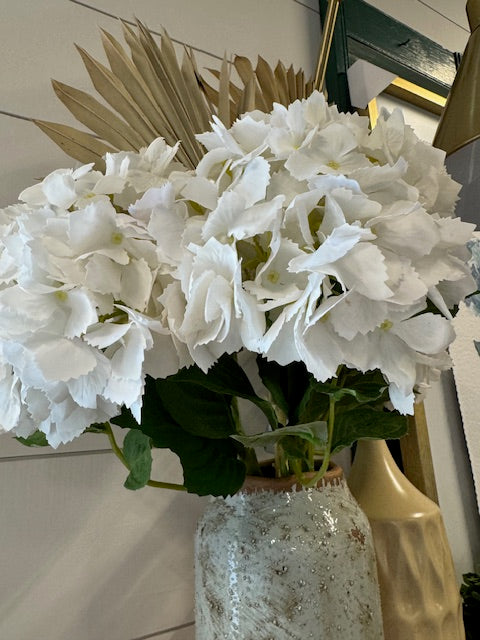 White Hydrangea Stem